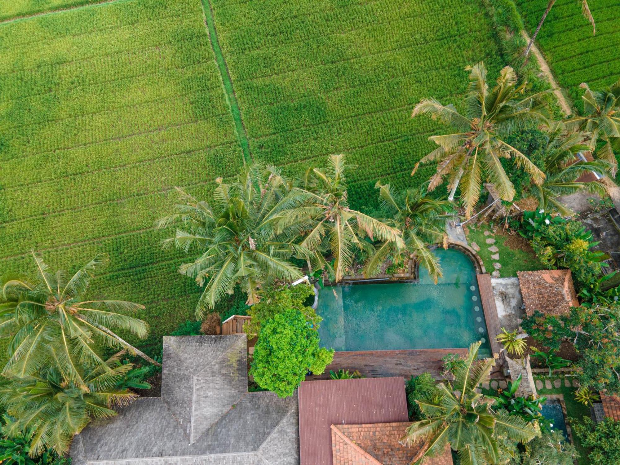 Uma Linggah Resort By Puri Signatures Tampaksiring المظهر الخارجي الصورة